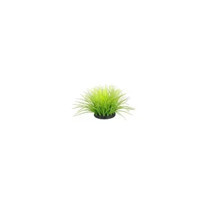 Akvarijní dekorace FLOWERS 4 zelená/žlutá Zolux | Pejskovice