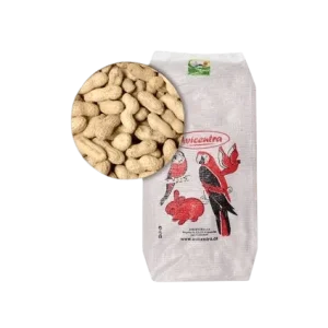 Avicentra buráky ve skořápce 10kg (10 kg)
