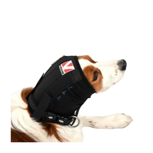 Bandáž uší a hlavy pro psa BUSTER (XS)