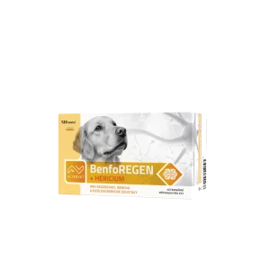 BenfoREGEN + Hericium (120 tob)