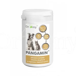 Dromy Pangamin 2000 tablet | Pejskovice