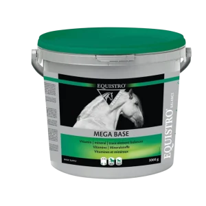 Equistro Mega Base 3000g (3 kg)