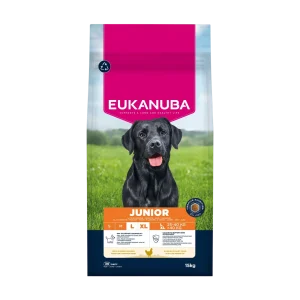 Eukanuba Dog Junior Large rich in fresh Chicken 15kg (15 kg)
