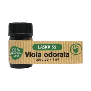 LÁSKA 52 Viola odorata | Pejskovice