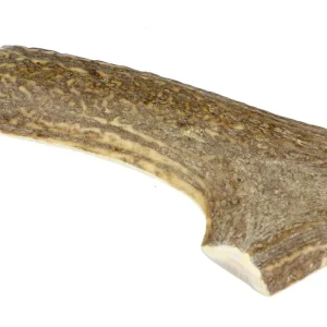 Marp Holistic - Jelení paroh polovina L (80 - 110g) | Pejskovice