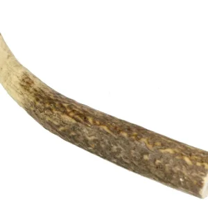 Marp Holistic - Jelení paroh, velikost M (80 - 120g) | Pejskovice