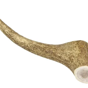 Marp Holistic - Jelení paroh, velikost XL (160 - 200g) | Pejskovice