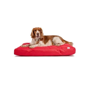 Matrace nylon Buffy červená se zipem 90x60x10 | Pejskovice