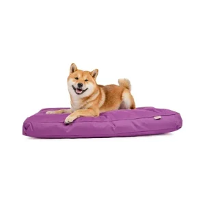 Matrace nylon Buffy fialová se zipem 90x60x10 | Pejskovice
