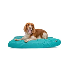 Matrace nylon Buffy tyrkysová se zipem 90x60x10 | Pejskovice