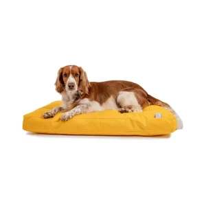 Matrace nylon Buffy žlutá se zipem 90x60x10 | Pejskovice