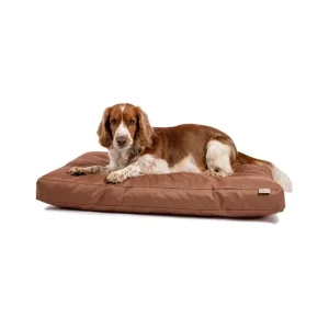 Matrace nylon Lazy paměťová hnědá 120x100x15 | Pejskovice
