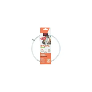 Obojek LED transparent BIVOUAK 30-60cm USB červe Zolux | Pejskovice
