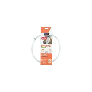 Obojek LED transparent BIVOUAK 30-60cm USB modrá Zolux | Pejskovice