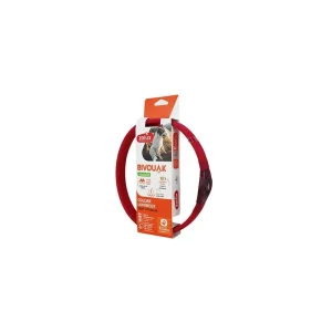 Obojek LED velký BIVOUAK 30-60cm USB červená Zolux | Pejskovice