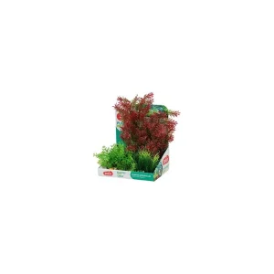 Rostliny akvarijní PLANTKIT 1 sada L Zolux | Pejskovice