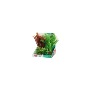 Rostliny akvarijní PLANTKIT 2 sada L Zolux | Pejskovice