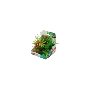 Rostliny akvarijní PLANTKIT 2 sada MINI 6ks Zolux | Pejskovice