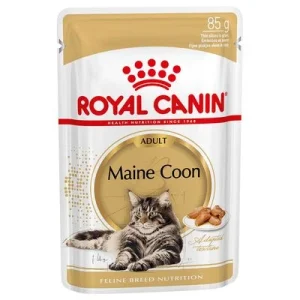 Royal Canin Maine Coon Adult v omáčce